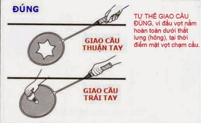 cách phát cầu lông đúng luật