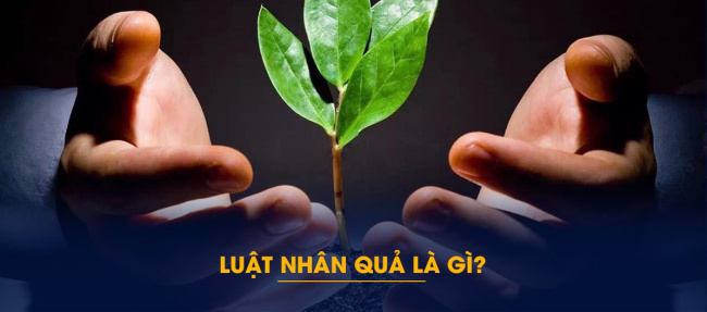 luật nhân quả là gì? những điều bạn cần biết luật nhân quả