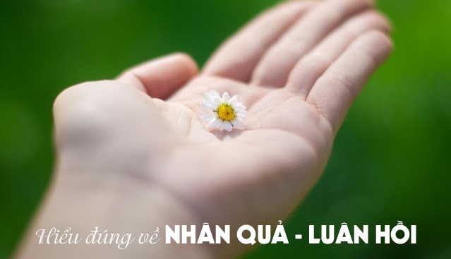 luật nhân quả là gì? những điều bạn cần biết luật nhân quả