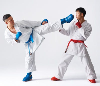 quy luật thi đấu karate cho người chơi hệ võ